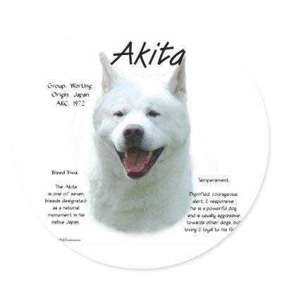 Akita (wht) History Design by GreyWolfCreation