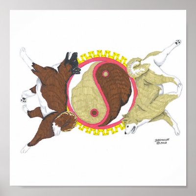 akita yin and yang 2 poster by hbaymiller