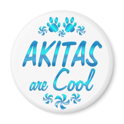 Akitas are Cool Refrigerator Magnet by TLArnold4