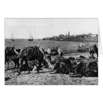 Akka - camels, ca. 1920 card