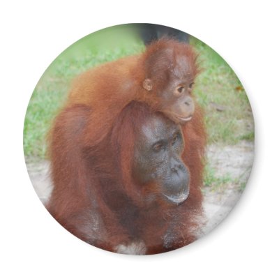 Akmad and Baby magnet by Rebecca_Reeder