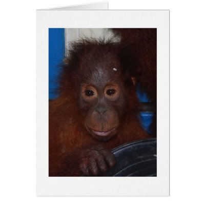 Akmad's baby greeting cards by Rebecca_Reeder