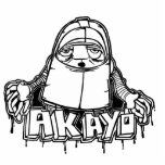 AKO photo sculptures