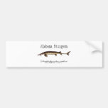 Alabama Sturgeon Item Bumper Stickers