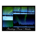 Alaksa Aurora Collage Postcard