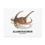 Alamosaurus (Dinosaur Fun) Post Cards