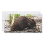 Alaska Aug 2007 683 Photo Greeting Card