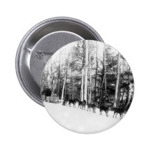 Alaska Dog Sledding Button