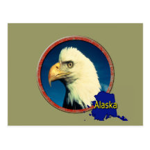 Alaska Eagle Post Card