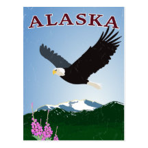 Alaska eagle postcard