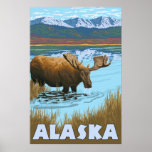 Alaska - Moose Drinking Water Print