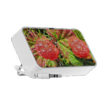 ALASKA SALMON BERRIES iPod SPEAKER