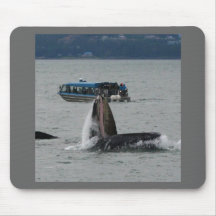 Alaska Whales Mousemat