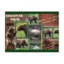 Alaska-Where The Wild Things Are Post Card