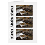 Alaskan Autumn Waterfall; Alaska Souvenir Cards