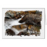 Alaskan Autumn Waterfall; Alaska Souvenir Greeting Card