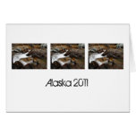 Alaskan Autumn Waterfall; Alaska Souvenir Greeting Card
