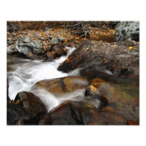Alaskan Autumn Waterfall Photograph