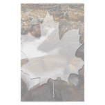Alaskan Autumn Waterfall Stationery