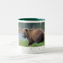 Alaskan Brown Bear Mugs
