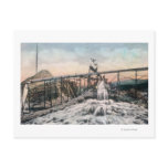 Alaskan Gold Mining Operation Sluice Box Postcard