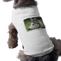 Alaskan Husky Dog Shirt