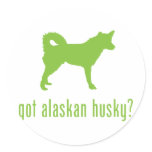 Alaskan Husky