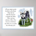 Alaskan Klee Kai Art posters