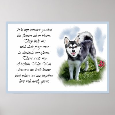 Alaskan Klee Kai Art Print by DogsByDezign