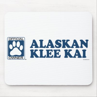 Alaskan Klee Kai Blue by GenuineDogOwner