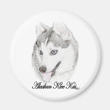 Alaskan Klee Kai Magnet