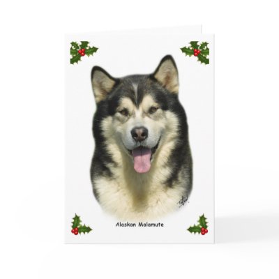 Alaskan Malamute 8T070D-03 by mtrafford