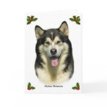 Alaskan Malamute 8T070D-03 cards