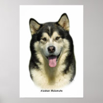 Alaskan Malamute 8T070D-03 Posters