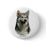 Alaskan Malamute 9R034D-191 Pinback Button
