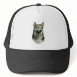 Alaskan Malamute 9R034D-191 Hats