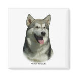Alaskan Malamute 9R034D-191 Refrigerator Magnets