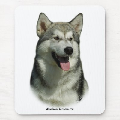 Alaskan Malamute 9R034D-191 Mouse Mat by TraffordPhotos