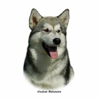 Alaskan Malamute 9R034D-191 Acrylic Cut Outs by TraffordPhotos