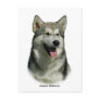 Alaskan Malamute 9R034D-191 Postcards