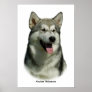 Alaskan Malamute 9R034D-191 Posters