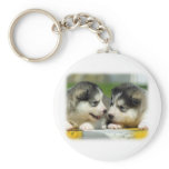 Alaskan Malamute 9R034D-348 Keychains