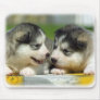 Alaskan Malamute 9R034D-348 Mouse Mat