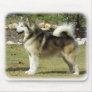 Alaskan Malamute 9R034D-463 Mouse Mats
