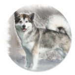 Alaskan Malamute Art Gifts Stickers
