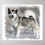 Alaskan Malamute Art Print Gifts
