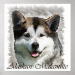 Alaskan Malamute Art Print Gifts