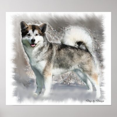 Alaskan Malamute Art Print Gifts by DogsByDezign