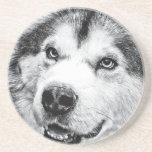 ALASKAN MALAMUTE BEVERAGE COASTER