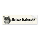 Alaskan Malamute bumper stickers